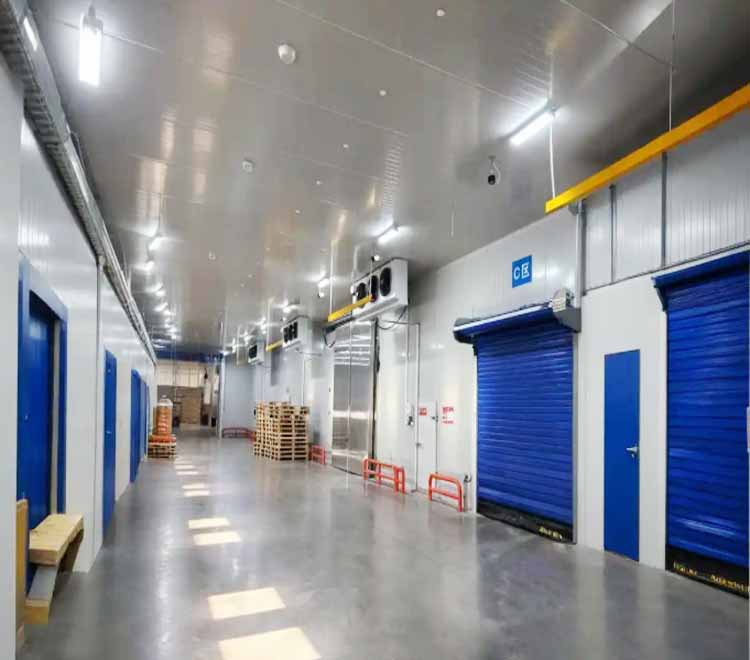 Vegetable cold storage